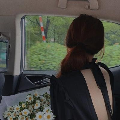 双凤朝凰 海报