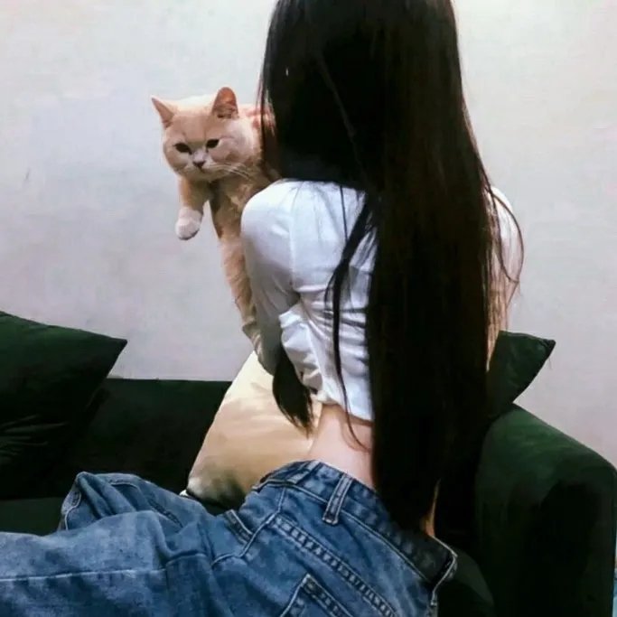 反诈·猎蜂者 海报